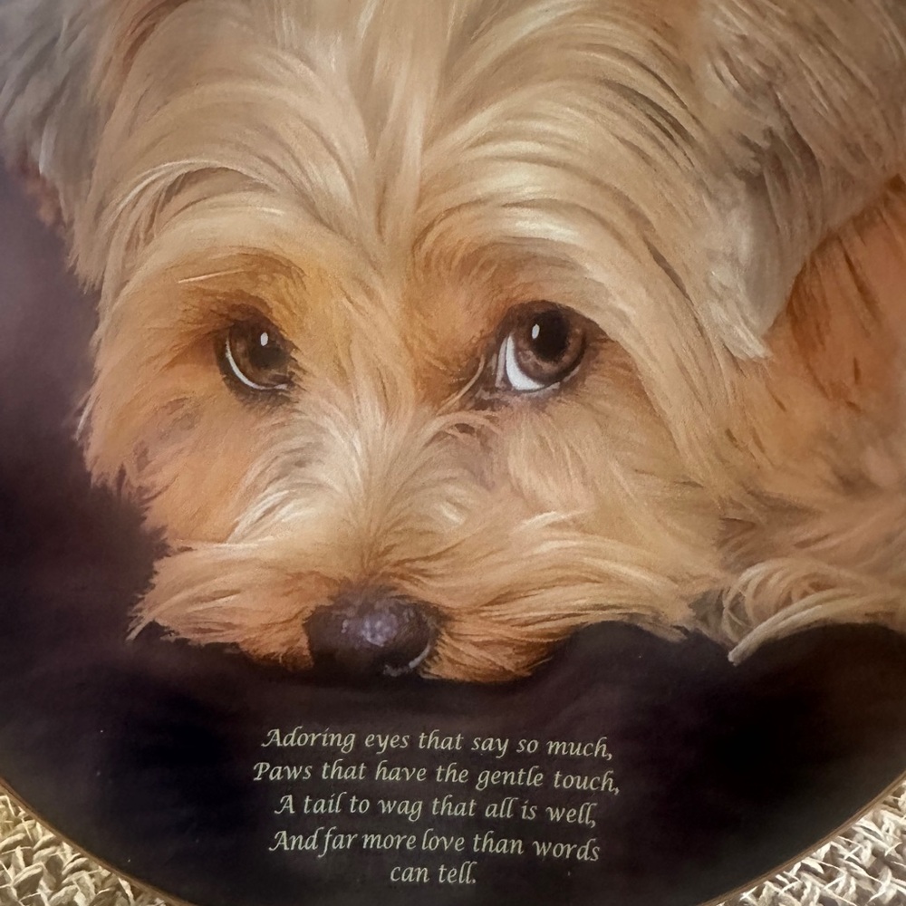 Decorative Plate with Yorkie “Adoring Eyes” Porcelain Danbury Mint & Certificate - Picture 2 of 5
